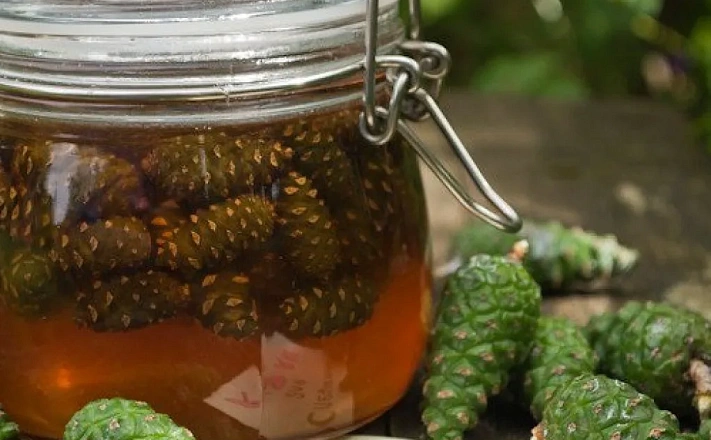  : Варенье из еловых шишек
